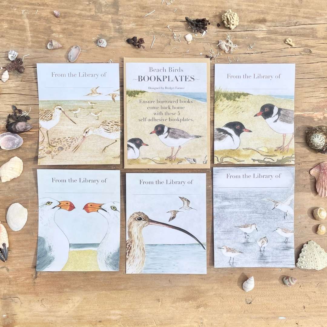 Bookplates - Beach Birds - Set of 5