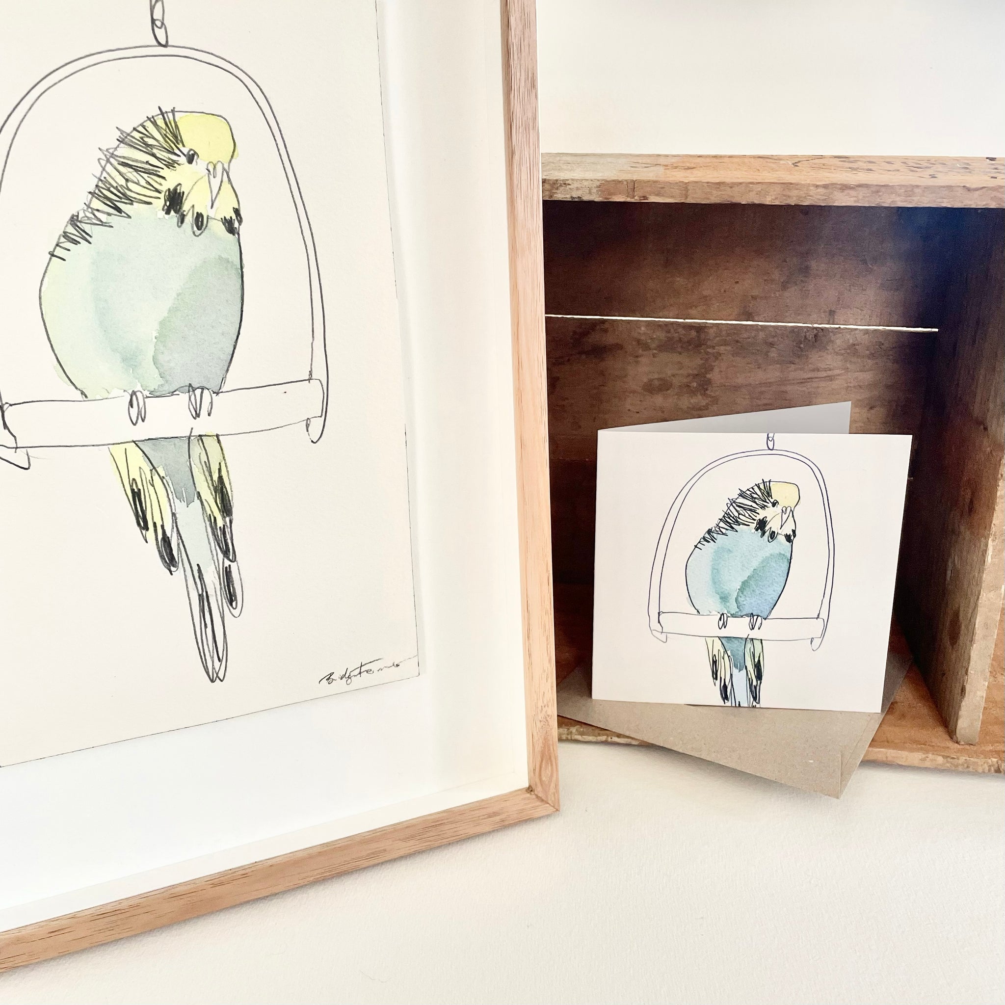 Greeting Card - Budgie 1 (Cello Sleeve)