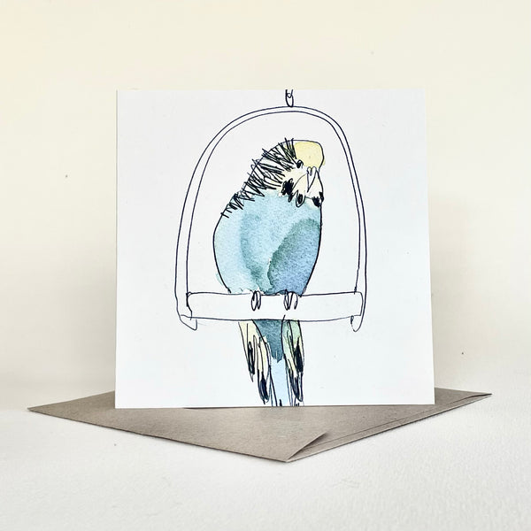 Greeting Card - Budgie 1 (Cello Sleeve)