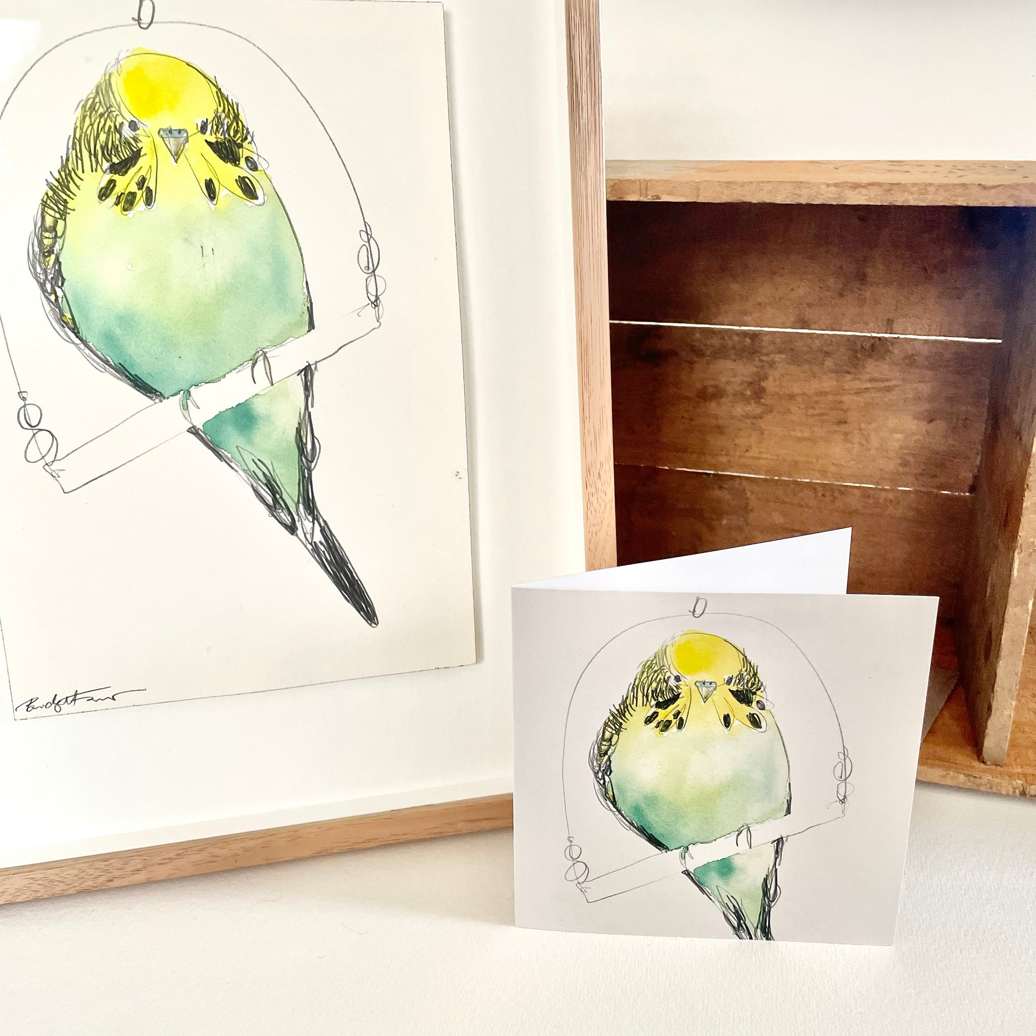 Greeting Card - Budgie II (Cello Sleeve)