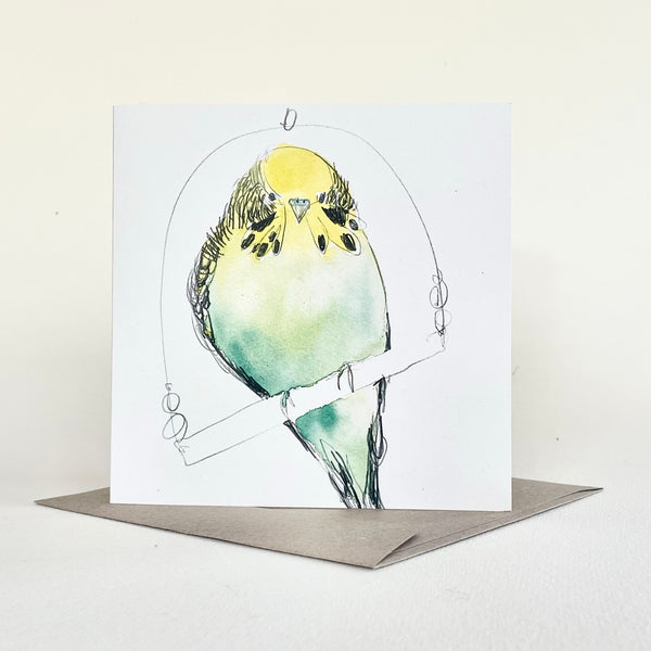 Greeting Card - Budgie II (Cello Sleeve)