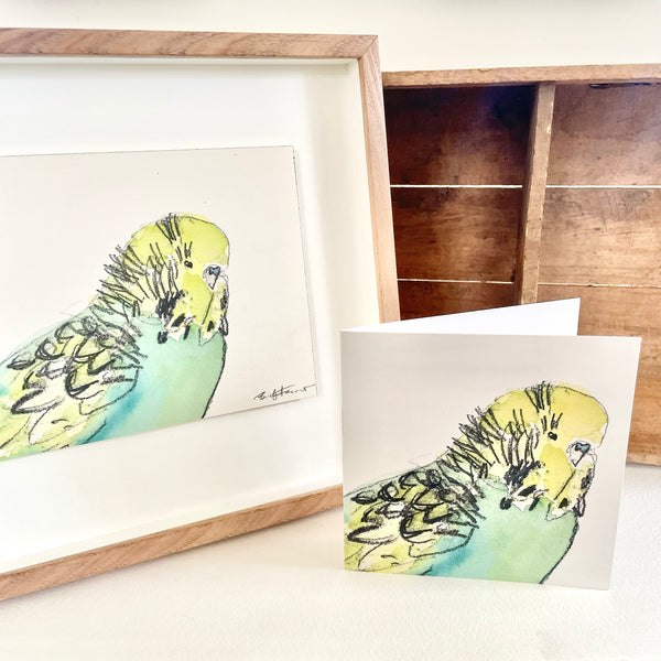 Greeting Card - Budgie IV