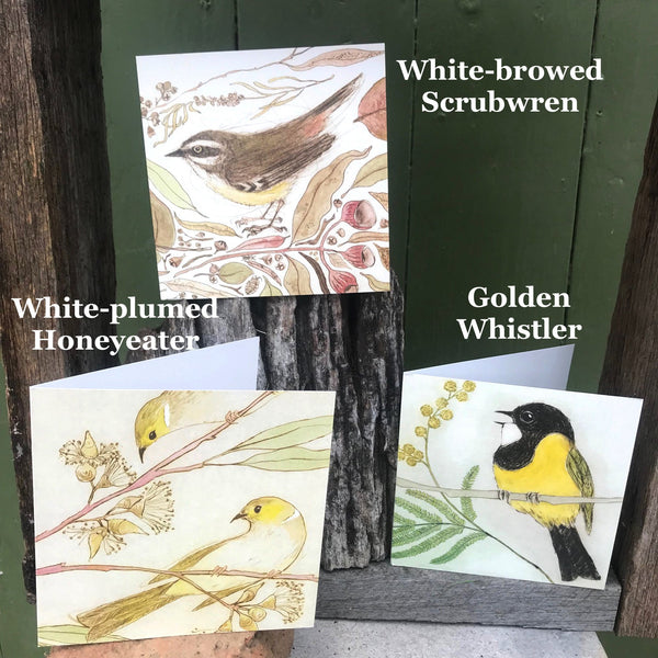 QUICKORDER SET -  18 x Bush Bird Greeting Cards CELLO SLEEVES (3 x 6 designs)