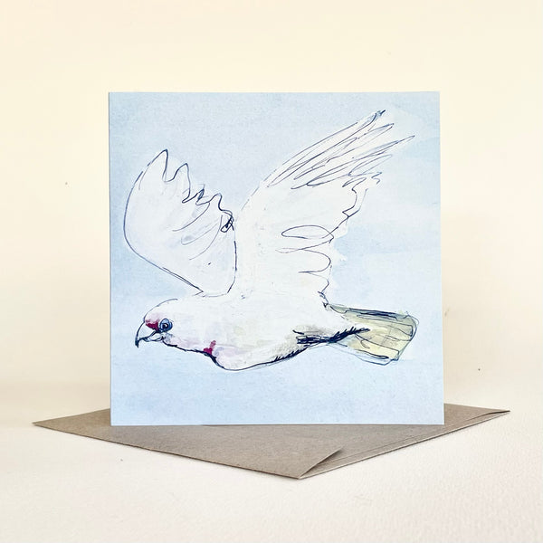 QUICKORDER SET - 18 x Budgie and Corella Greeting Cards with cello sleeve (3 of 6 designs)