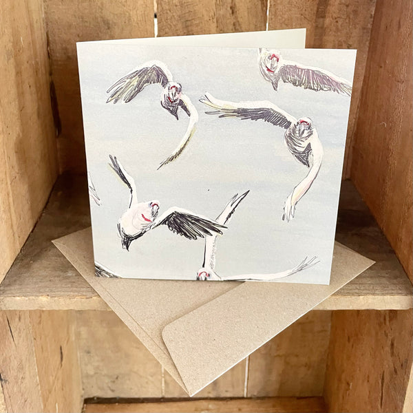 Greeting Card - Corella Flock (Cello Sleeve)