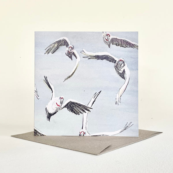 QUICKORDER SET - 18 x Budgie and Corella Greeting Cards with cello sleeve (3 of 6 designs)