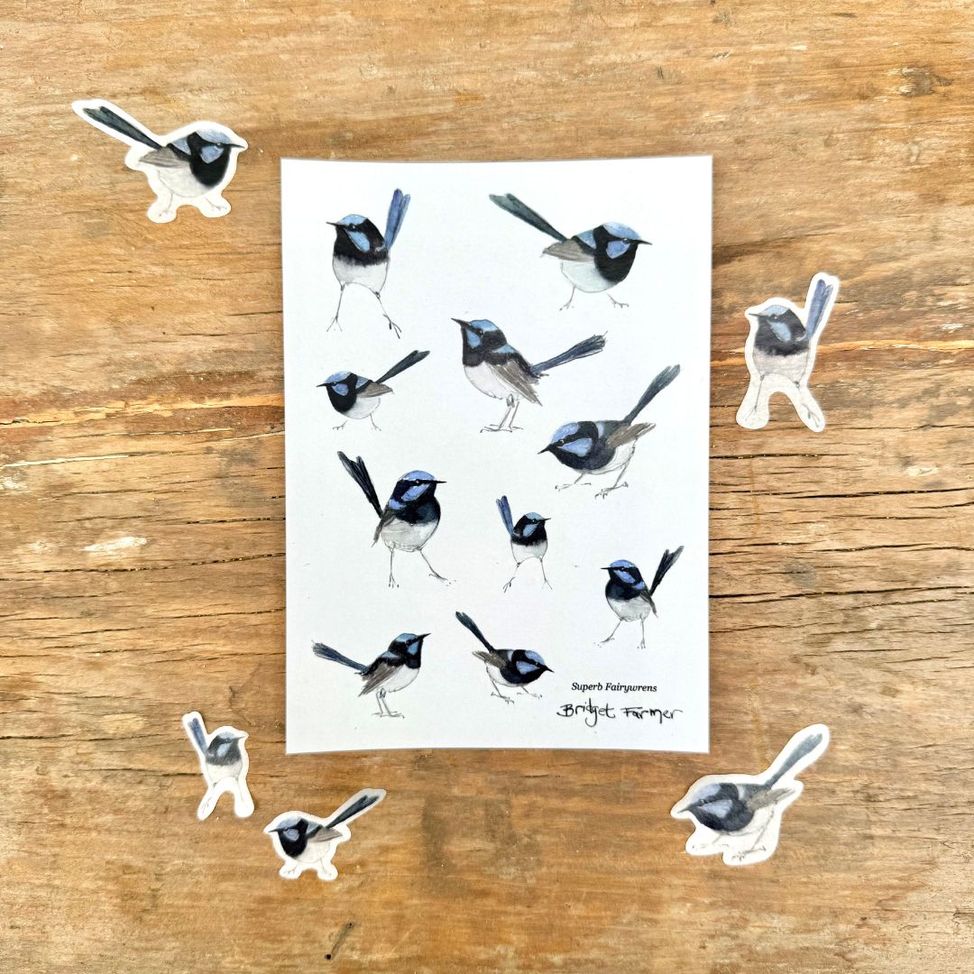 Fairywren Sticker Sheet (A6)