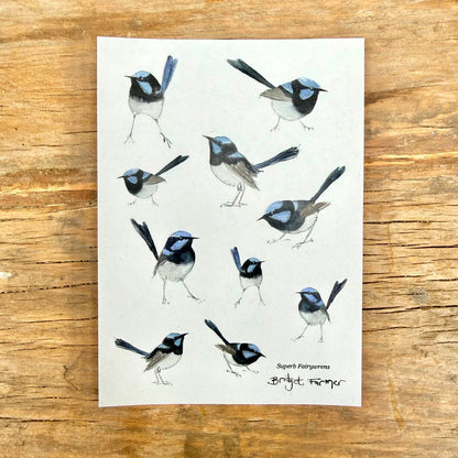 Fairywren Sticker Sheet (A6)