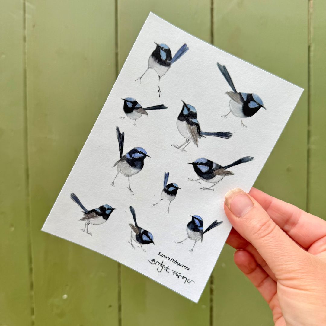 Fairywren Sticker Sheet (A6)