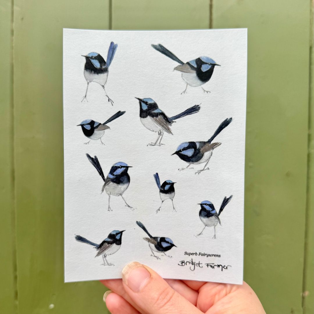 Fairywren Sticker Sheet (A6)