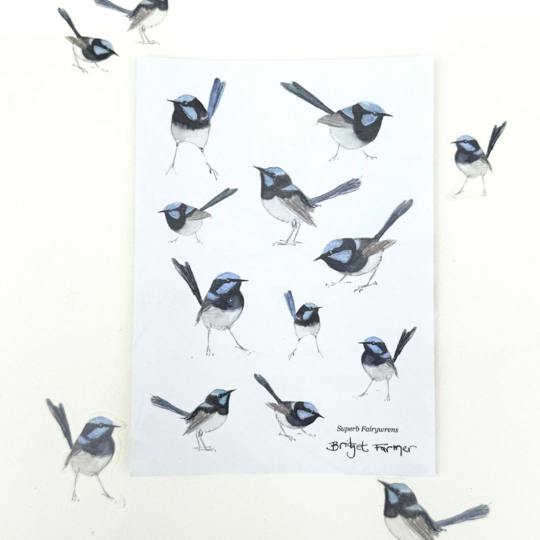 Fairywren Sticker Sheet (A6)