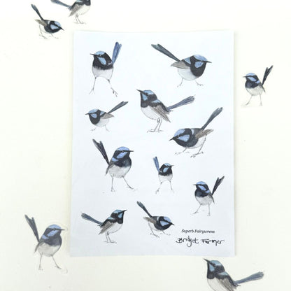 Fairywren Sticker Sheet (A6)