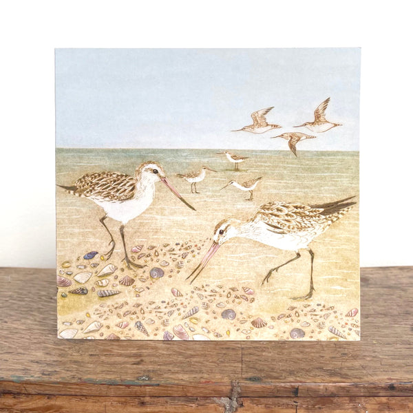 QUICKORDER SET -  18 x Beach Bird Greeting Cards CELLO SLEEVES (3 x 6 designs)