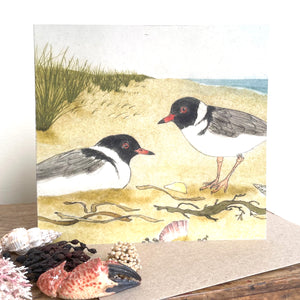 Greeting Card - Hooded Plover