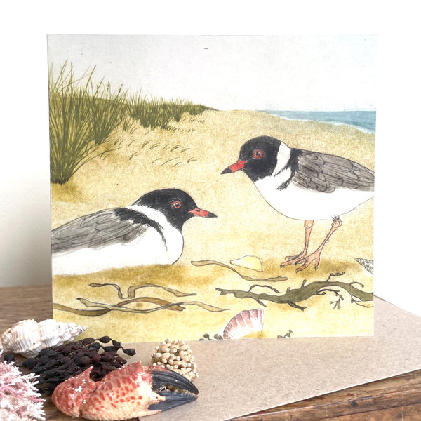 QUICKORDER SET -  18 x Beach Bird Greeting Cards CELLO SLEEVES (3 x 6 designs)