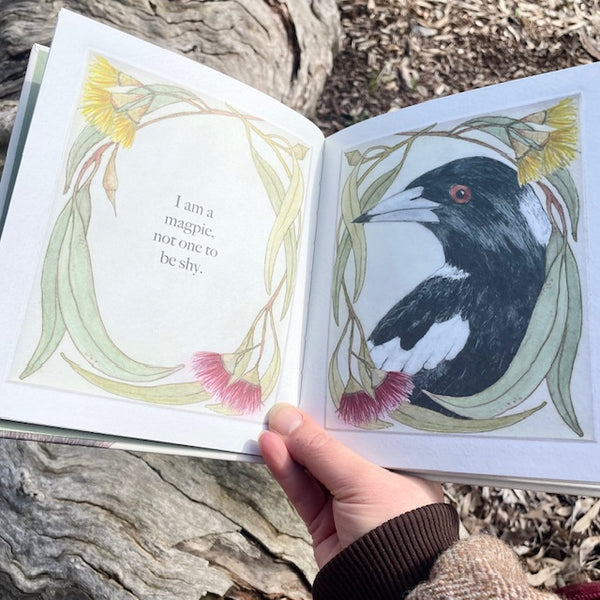 PREORDER - I am a Magpie, I am a Currawong - Children's Book - SHIPPING BY EARLY NOV