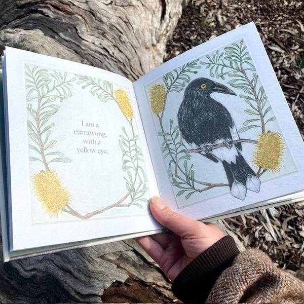 PREORDER - I am a Magpie, I am a Currawong - Children's Book - SHIPPING BY EARLY NOV