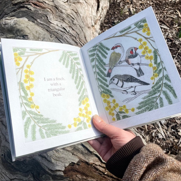 PREORDER - I am a Magpie, I am a Currawong - Children's Book - SHIPPING BY EARLY NOV