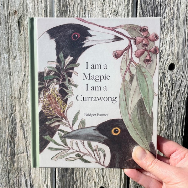 PREORDER - I am a Magpie, I am a Currawong - Children's Book - SHIPPING BY EARLY NOV