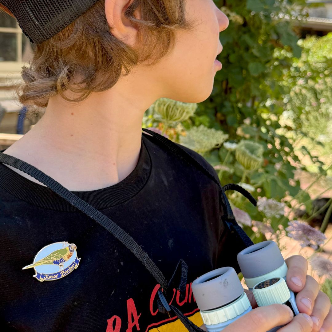 Junior Birder - Rainbow Lorikeet Enamel Pin