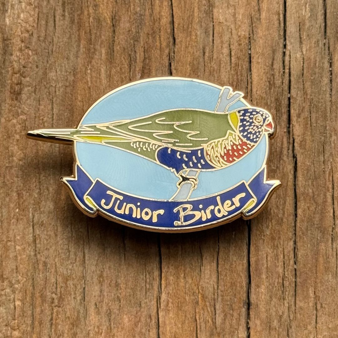 Junior Birder - Rainbow Lorikeet Enamel Pin