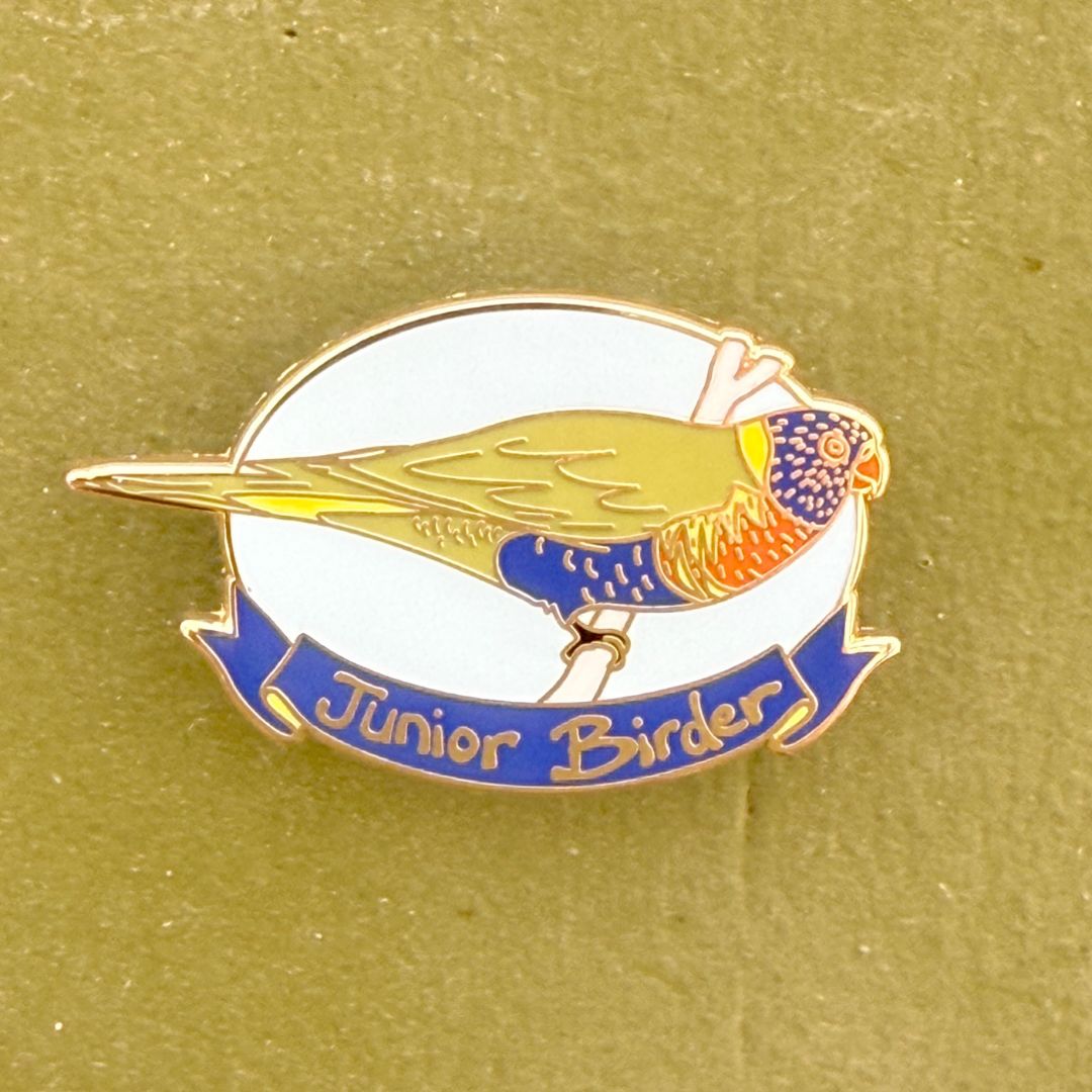 Junior Birder - Rainbow Lorikeet Enamel Pin