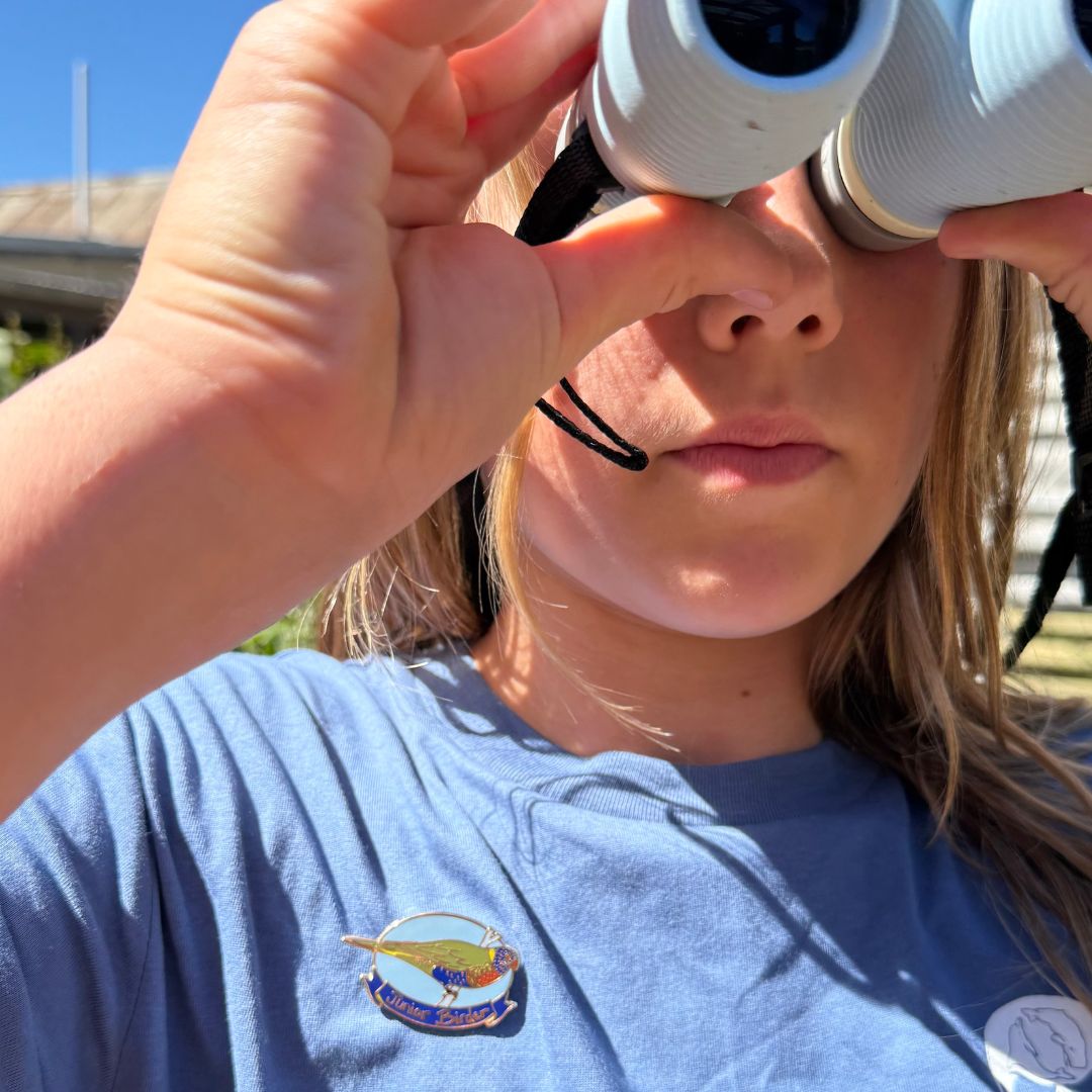 Junior Birder - Rainbow Lorikeet Enamel Pin