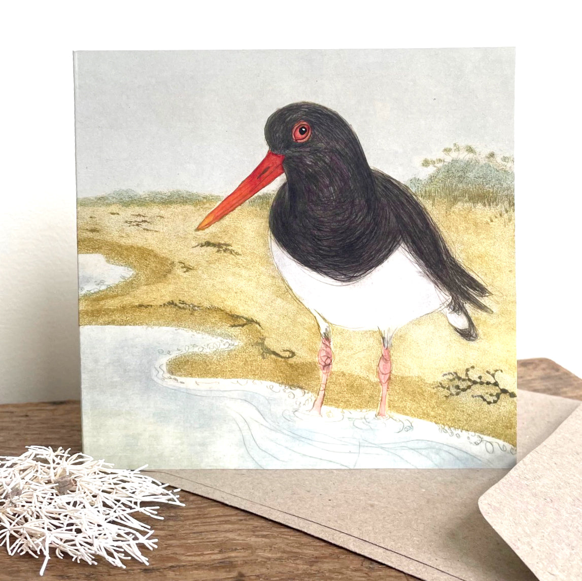 Greeting Card - Pied Oystercatcher