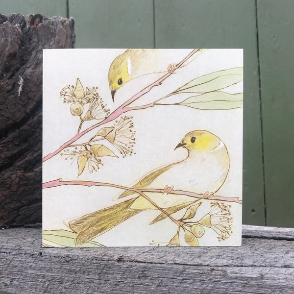 QUICKORDER SET -  18 x Bush Bird Greeting Cards CELLO SLEEVES (3 x 6 designs)