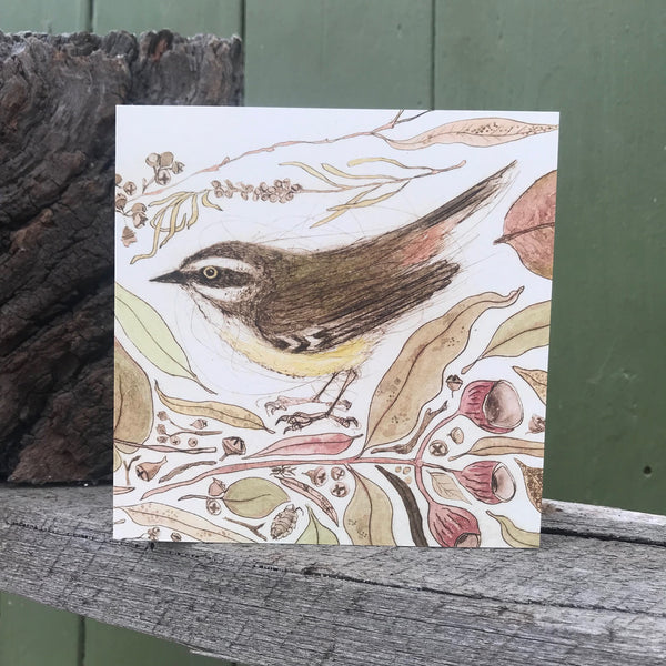 QUICKORDER SET -  18 x Bush Bird Greeting Cards CELLO SLEEVES (3 x 6 designs)