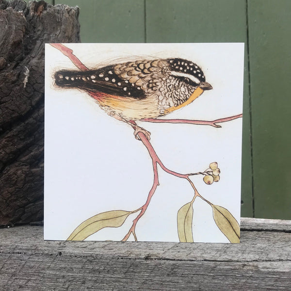 QUICKORDER SET -  18 x Bush Bird Greeting Cards CELLO SLEEVES (3 x 6 designs)