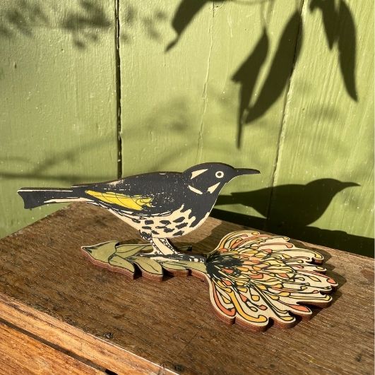 Standing Bird - New Holland Honeyeater