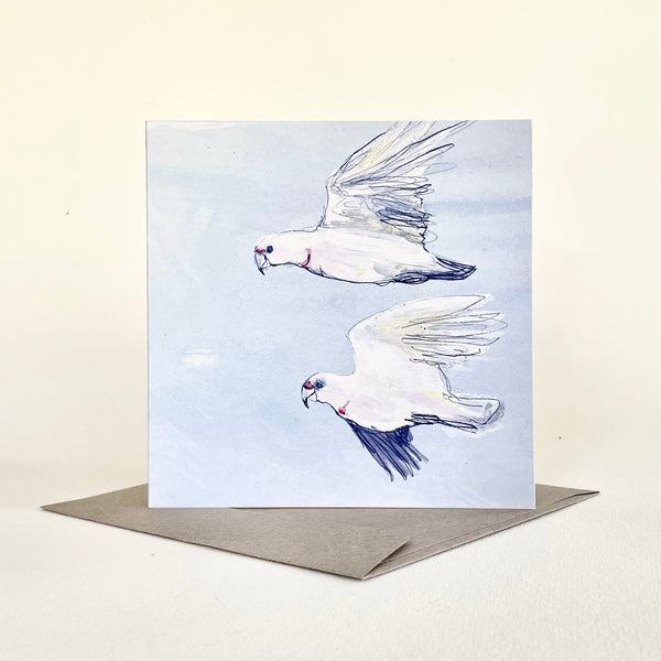 QUICKORDER SET - 18 x Budgie and Corella Greeting Cards with cello sleeve (3 of 6 designs)