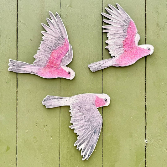 Australian Aviary ~ Wall Decorations ~ Galahs (set of 3)