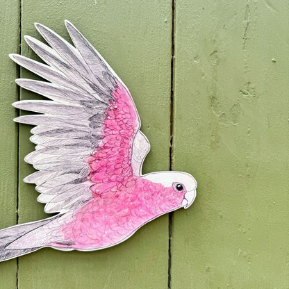 Australian Aviary ~ Wall Decorations ~ Galahs (set of 3)