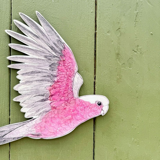 Australian Aviary ~ Wall Decorations ~ Galahs (set of 3)