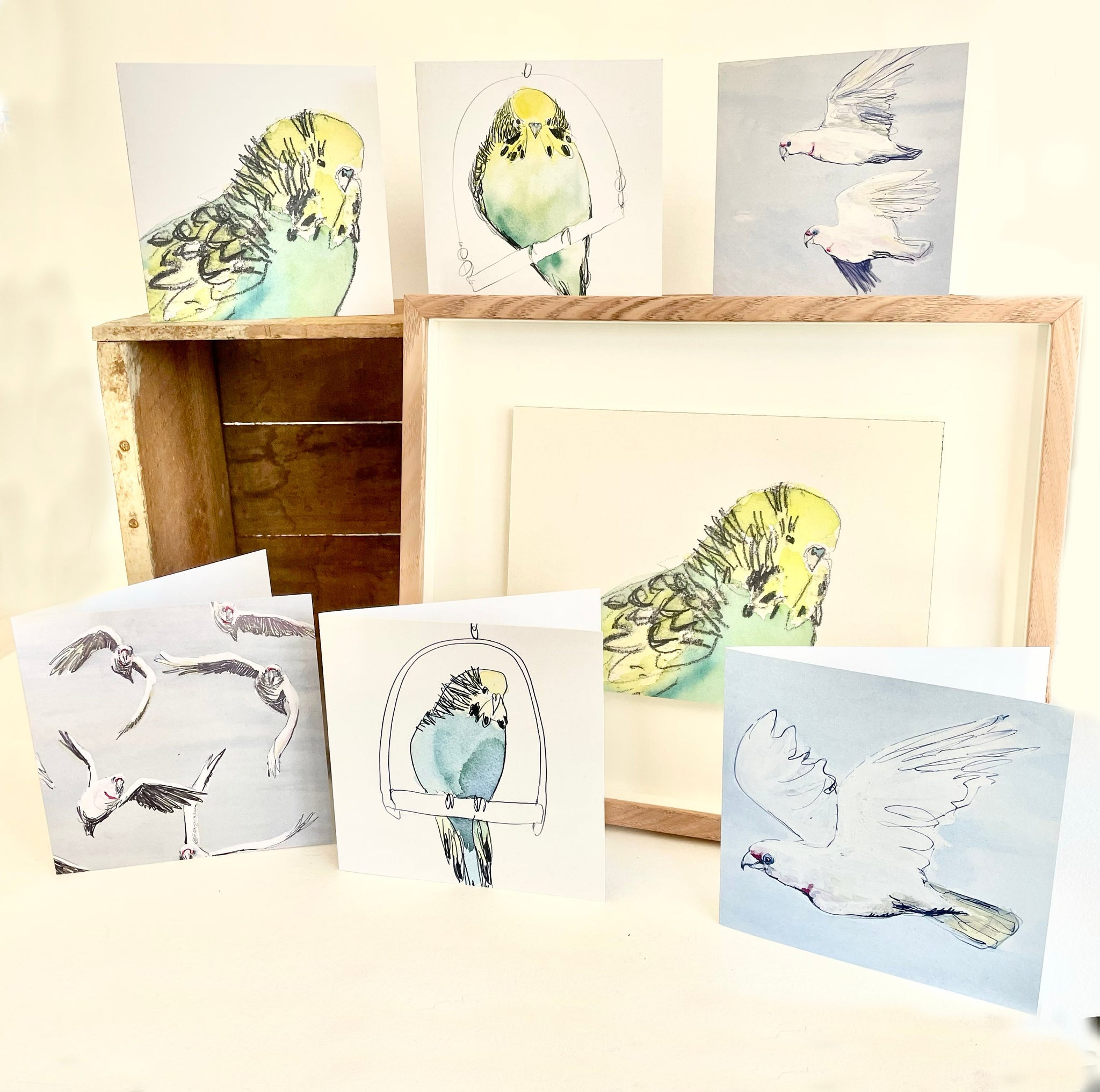 QUICKORDER SET - 18 x Budgie and Corella Greeting Cards with cello sleeve (3 of 6 designs)