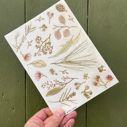 Australian Bush Sticker Sheet A5