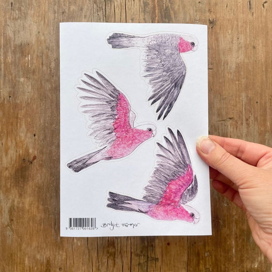 Galahs Sticker Sheet