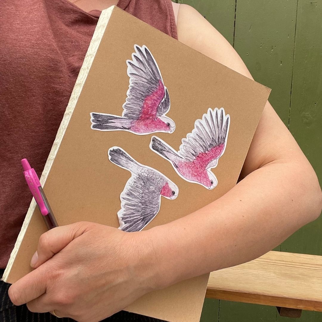 Galahs Sticker Sheet
