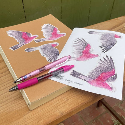 Galahs Sticker Sheet