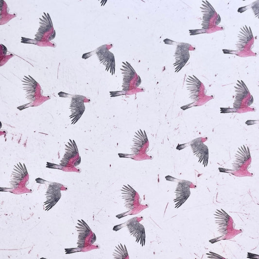 Galah Wrapping Paper