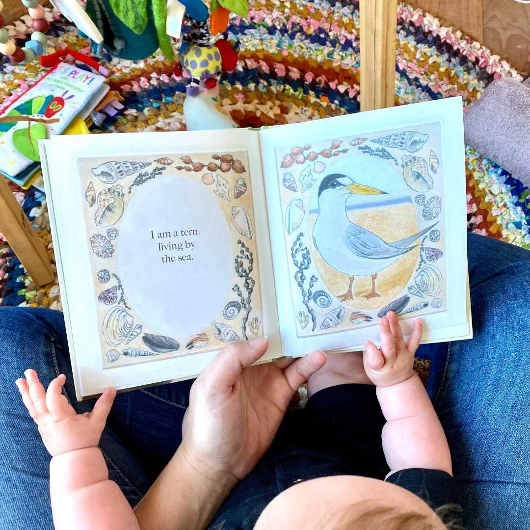 I am a Magpie, I am a Currawong ~ CBCA 2025 Shortlist Book