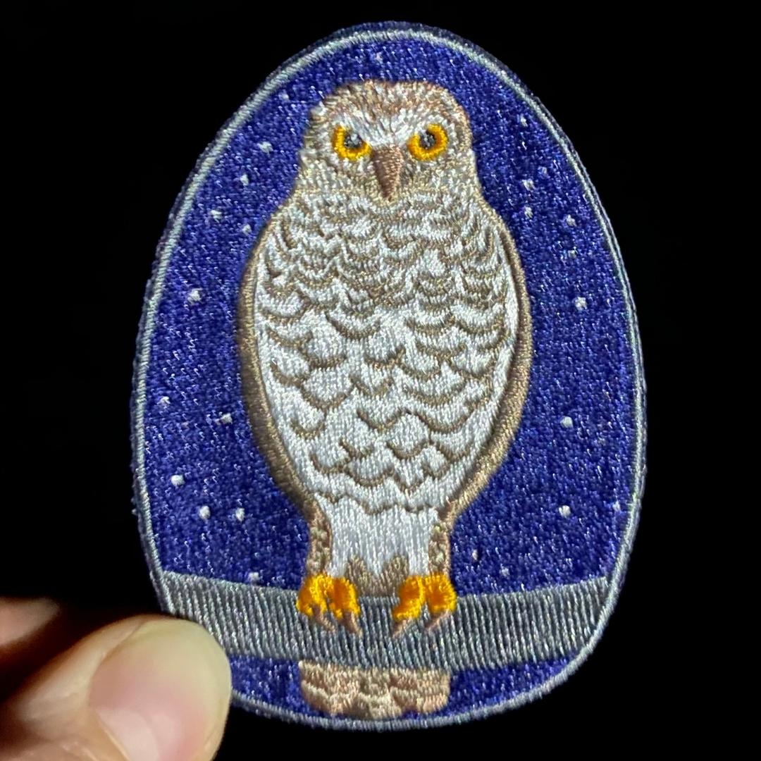 Powerful Owl Embroidered Patch