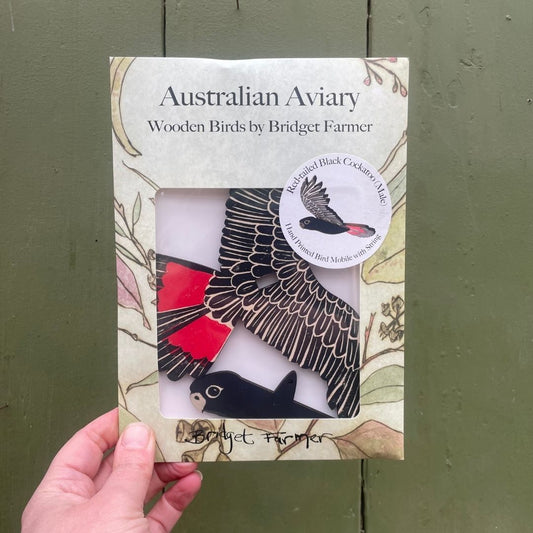 Packaging of 'Australian Aviary' wooden birds by Bridget Farmer against a green background
