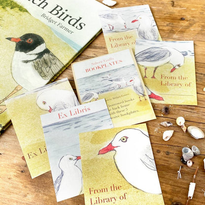 Bookplates - Silver Gulls- Set of 5