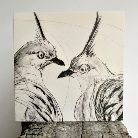 Greeting Card - Crested Pigeons