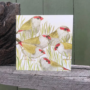 Greeting Card - Red-browed Finches