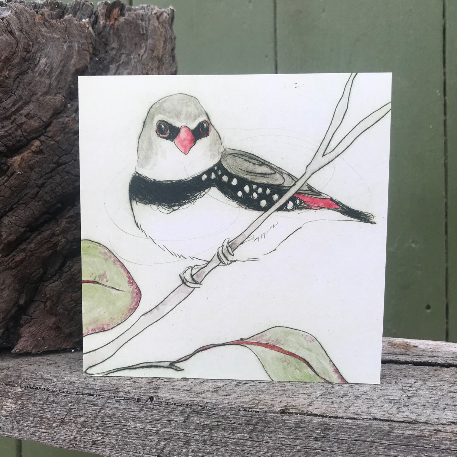 Greeting Card - Diamond Firetail